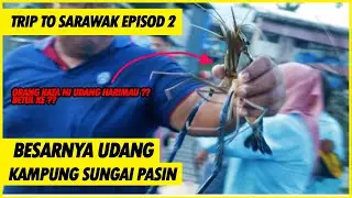 UDANG KG SUNGAI PASIN |  EPISOD 2 JELAJAH RUMAH PANJANG SARAWAK