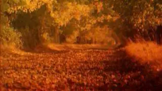 Wieslaw Bober. The Four Seasons / Autumn (Vivaldi)