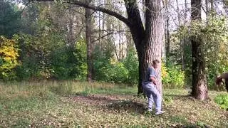 Gorbik Dmitry slightly autumn pt.2