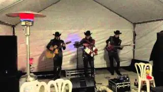 Los Amigueros de la Sierra - El Chapo Barrial (En Vivo)