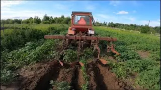 Трактор Т-25 Окучивает картошку! Хочу себе такой же!