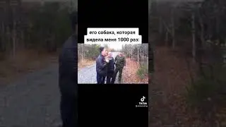 друг в гостях 