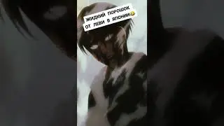 С леви сделали жидкий порошок В ЯПОНИИ!
