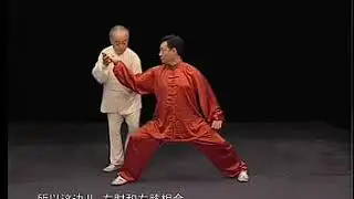 Чень ши тайцзи цюань. Юнфа. Ма Хун. Ч5