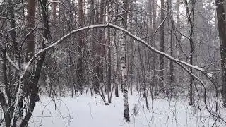 Зимнее настроение