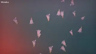 Sharon Van Etten - Mistakes (Lyric Video)