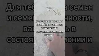 Суть имени Екатерина #квантоваянумерология #значениеимени #екатерина