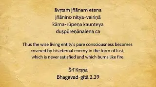 āvṛtaṁ jñānam etena | Bhagavad-gītā 3.39 | Sri Prem Prayojan Prabhu
