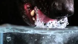 dog drinking water in ultra slow motion