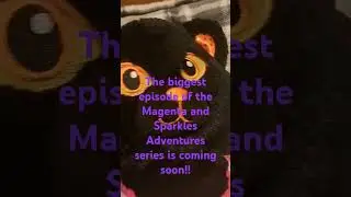 A big episode is coming soon!! #stuffedanimals #plushchannel #plushies #buildabear #toys