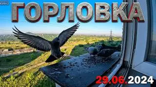 Ура, Ура, Урааааа!! 29.06.2024.