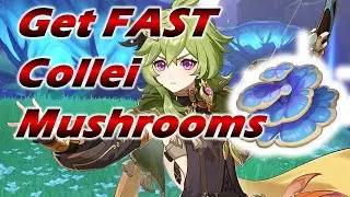 Guide to get Rukkhashava Mushrooms Quickly! - Genshin Impact Guide - MeteorFalcon