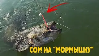 Трофейный СОМ на 
