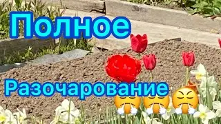 Полное разочарование...
