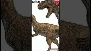 Mégalosaure - Un jour, Un dino