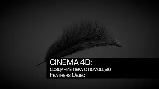 Cinema 4D / создание пера с помощью Feathers Object