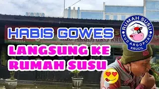 HABIS GOWES LANGSUNG KE RUMAH SUSU | KUD ARGOPURO PROBOLINGGO | DRINK FRESH MILK AFTER CYCLING