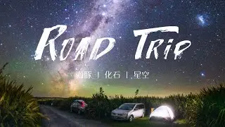 海豚、化石和星空｜新西兰南岛自驾露营