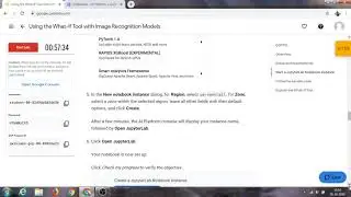 Using the What If Tool with Image Recognition Models