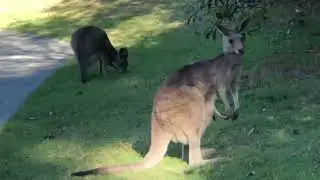 How are you doing