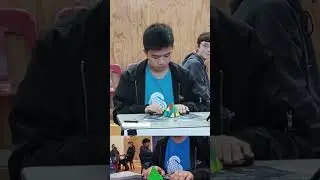 1.55 Official Pyraminx Rubik's Cube Solve! #shorts