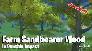 Where to find Sandbearer Wood (Best Farm Route) in Genshin Impact