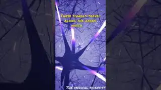 Power of your Brain 🔥🥵🥵🔥🔥 