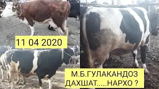 Молбозори Гулакандоз нар...бука....? ( Барои дастгири н 5058 2703 6422 4450 картам ташакури зиёд ) !