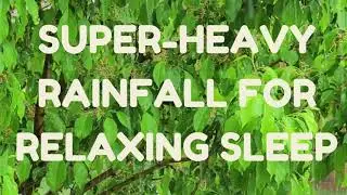 Super  Heavy Rain for Deep Relaxing Sleep