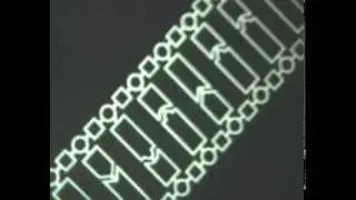 Biosynthesis of proteins. Scientific film. (educational video of the USSR).