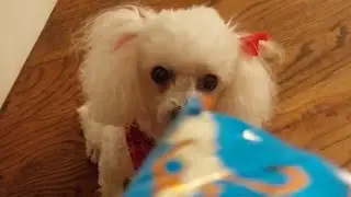 Are You Gonna Share Your Snack With Me?? 😋
