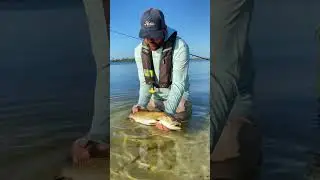 As much as I like to catch them, I like to watch them swim off even more.