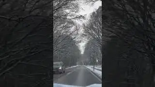 Snowy Days in Hamburg Germany 🇩🇪