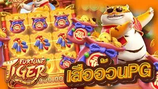 Fortune Tiger สล็อตเสืออ้วนPG แจกซองเต็มๆ