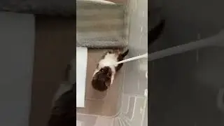 Подпишись🙏 