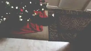 My Edited Video