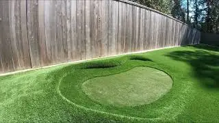 Backyard putting green with bunkers & large pine trees in the center of the green. National Greens.