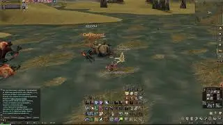 Lineage 2. Лук на автокаче. Самая бесполезная покупка в ИМе. Офф сервер