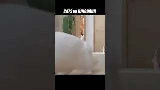 Now this is what I call a Kittisaurus! 
