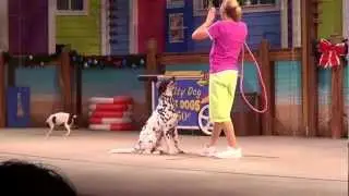 Seaworld Pets Ahoy show November 2012