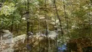 Georgia Mountains
