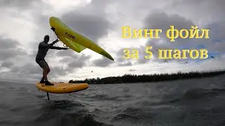 Винг фойл за 5 шагов