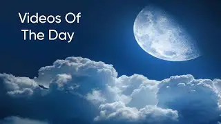 My Videos Of The Day