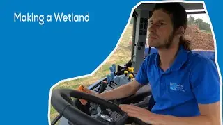 MAKING A WETLAND