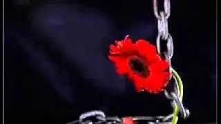 Çekilin gelin -  (Duks Brandze)