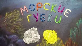 Морские губки. Porifera. Пластилиновый познавательный мультфильм. Plasticine Animation.