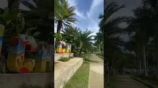 👍 