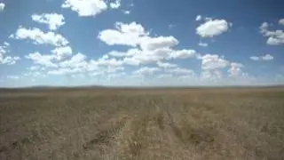 Куда идут дзерены