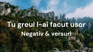 Negativ & versuri ~Tu greul L-ai facut usor~   Mihaela Smalbergher
