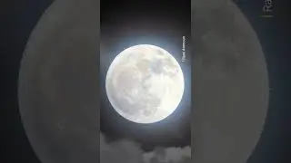 Did you know the Earth’s moon is the 5th largest in our solar system 🌕 #Shorts #Science #Space